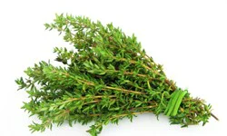 Thyme Bunches