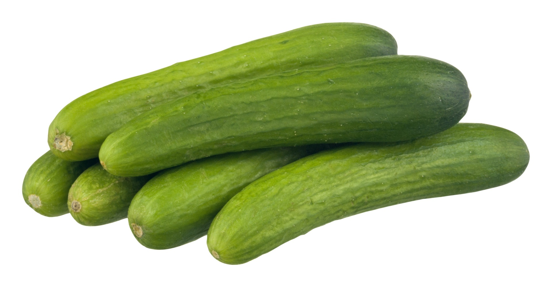 slide 1 of 1, Mucci Farms Organic Persian Cucumbers, 6 ct