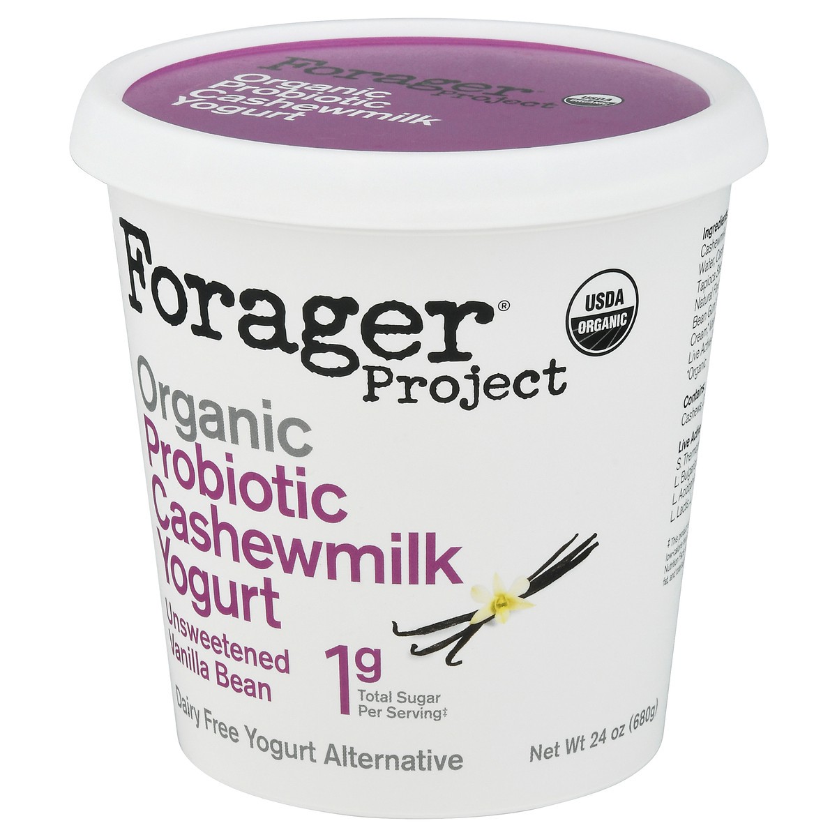 slide 3 of 9, Forager Project Dairy-Free Organic Probiotic Unsweetened Vanilla Bean Cashewmilk Yogurt 24 oz, 24 fl oz