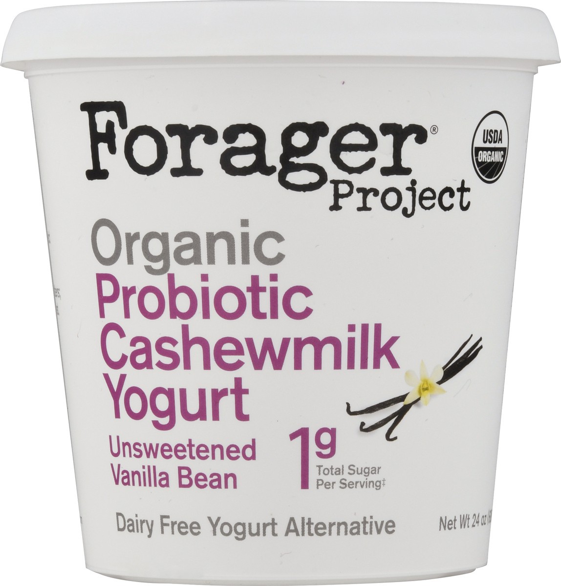 slide 4 of 9, Forager Project Dairy-Free Organic Probiotic Unsweetened Vanilla Bean Cashewmilk Yogurt 24 oz, 24 fl oz