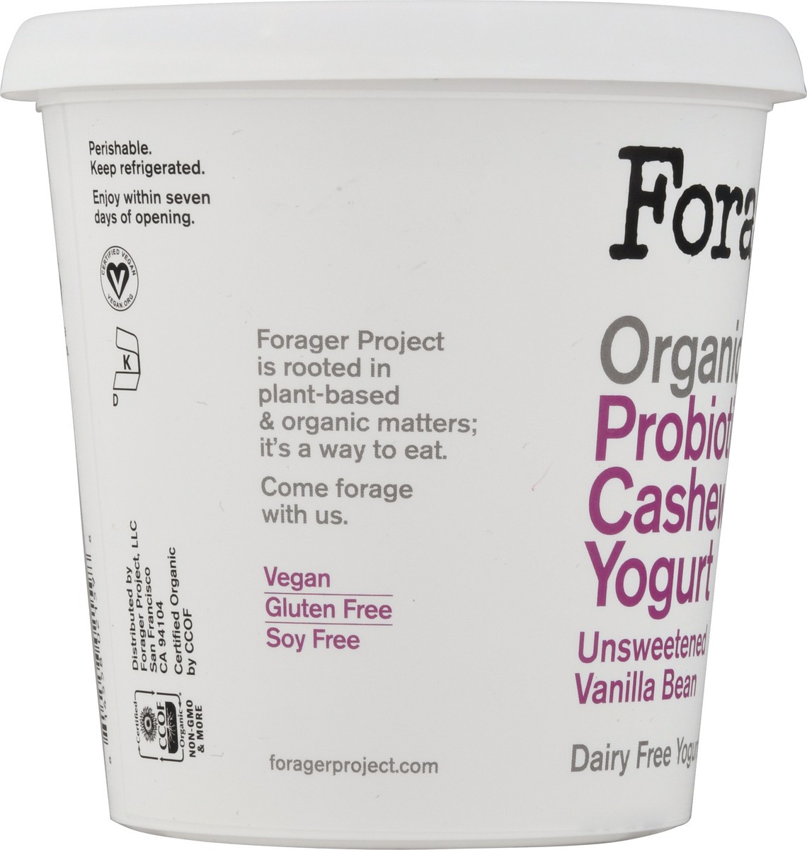 slide 9 of 9, Forager Project Dairy-Free Organic Probiotic Unsweetened Vanilla Bean Cashewmilk Yogurt 24 oz, 24 fl oz