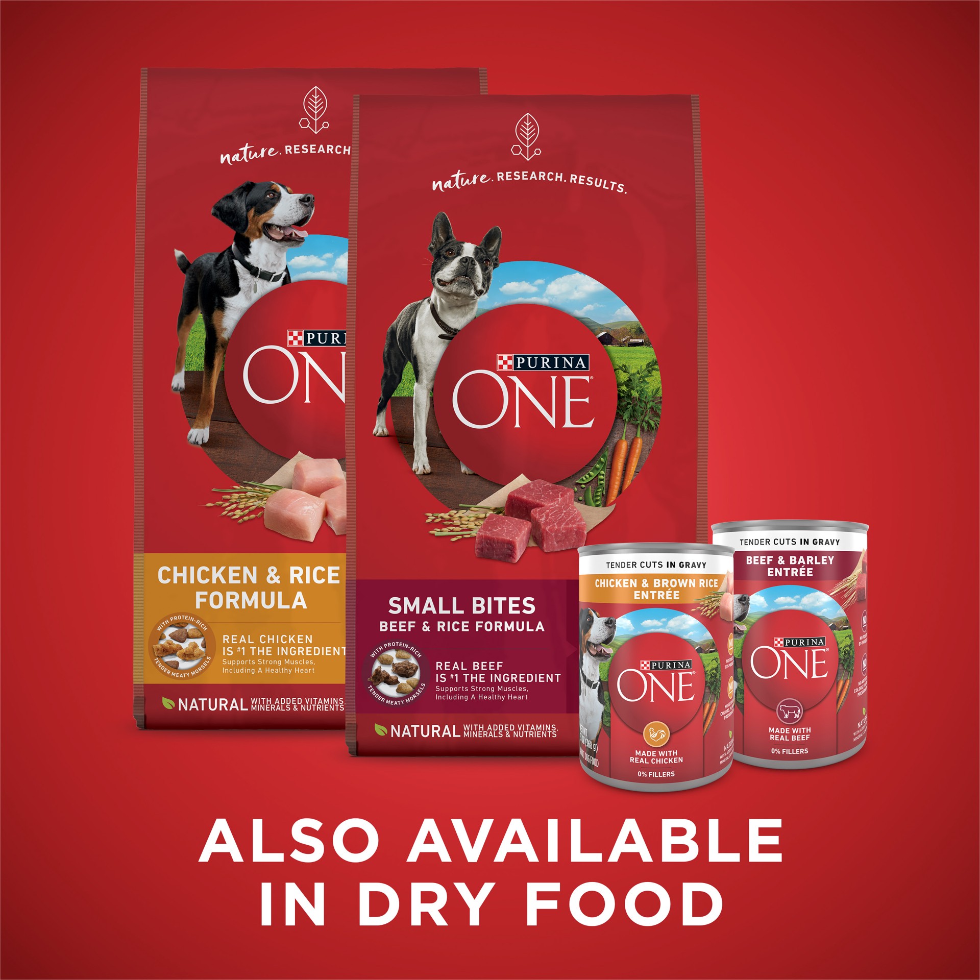 slide 3 of 8, Purina ONE Tender Cuts in Gravy Chicken and Brown Rice, and Beef and Barley Entrees Wet Dog Food Variety Pack, 4.88 lb