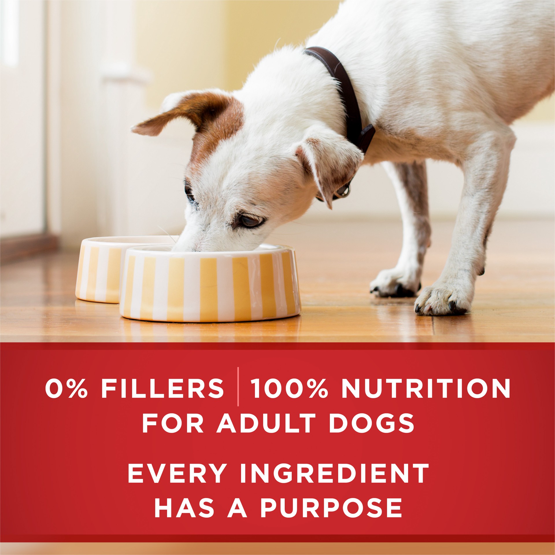 slide 6 of 8, Purina ONE Tender Cuts in Gravy Chicken and Brown Rice, and Beef and Barley Entrees Wet Dog Food Variety Pack, 4.88 lb