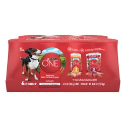 Purina ONE Tender Cuts in Gravy Chicken and Brown Rice, and Beef and Barley Entrees Wet Dog Food Variety Pack