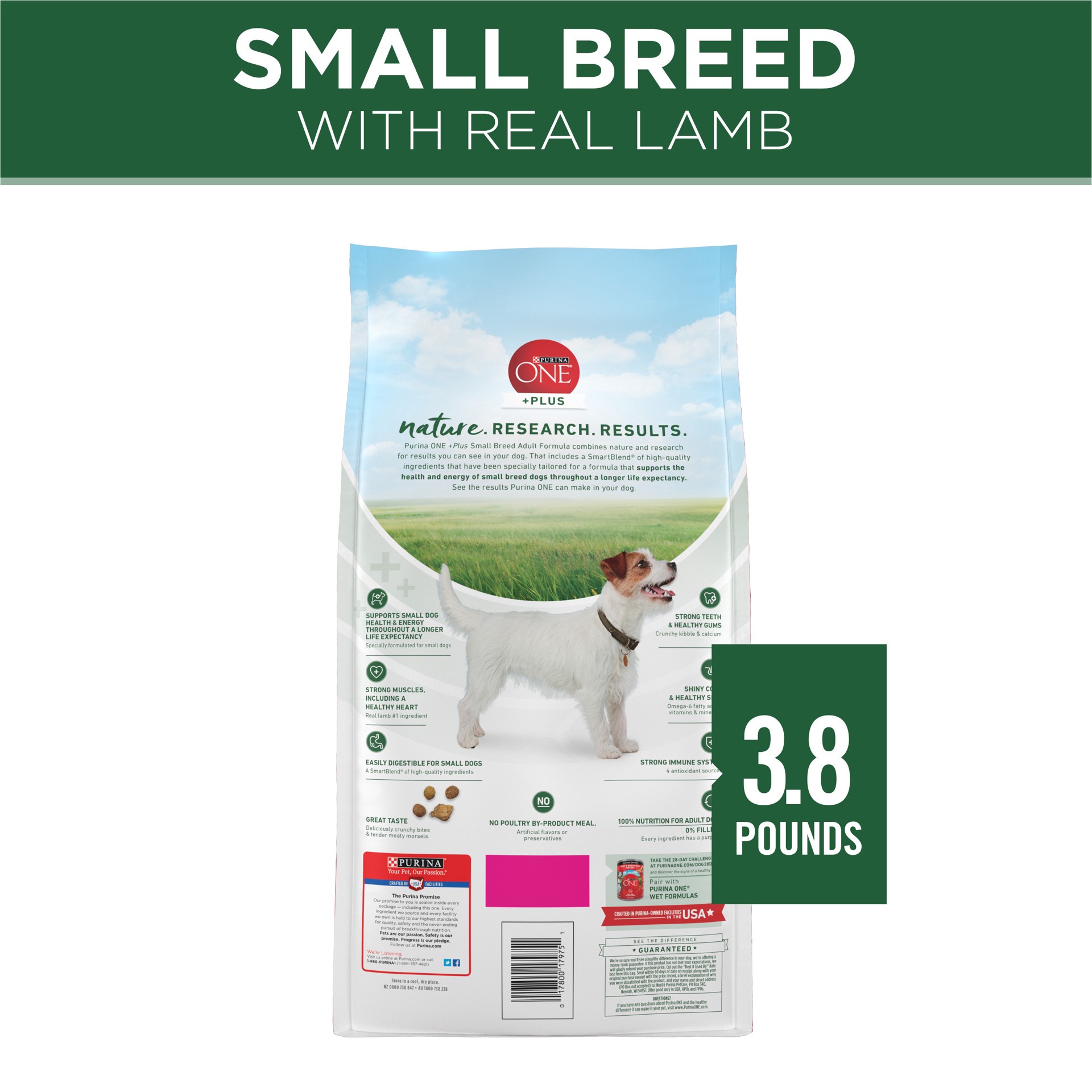 slide 8 of 8, ONE Purina ONE Plus Small Breed Lamb and Rice Formula Dry Dog Food, 3.80 lb