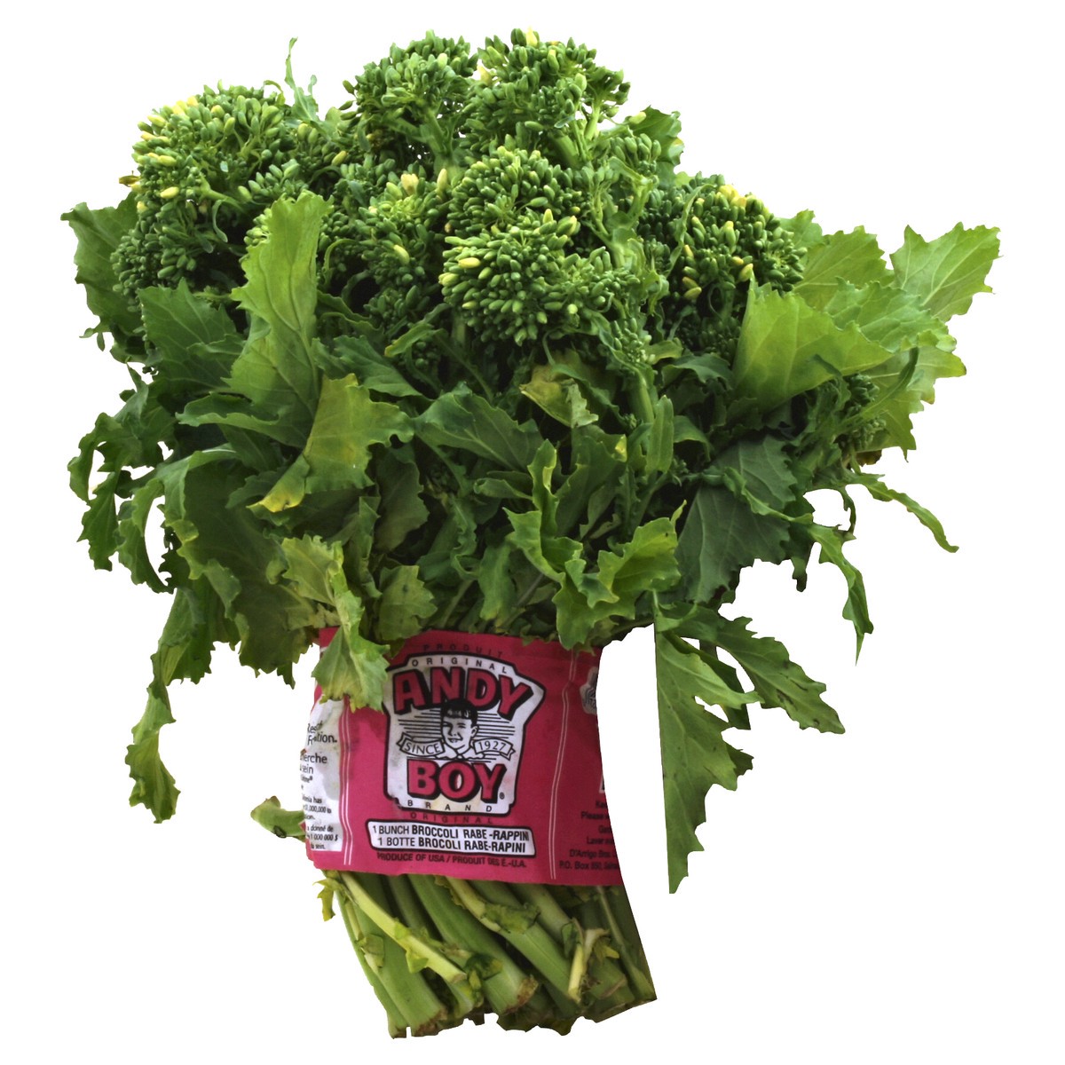 slide 3 of 3, Produce Broccoli-Rabe 1 ea, 1 ct