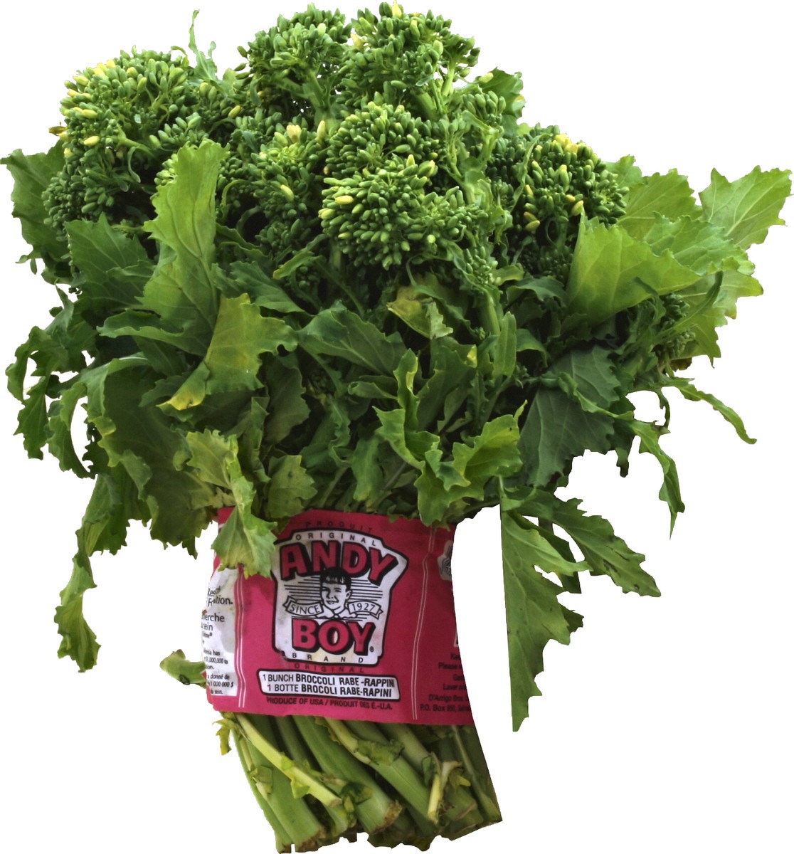 slide 1 of 3, Produce Broccoli-Rabe 1 ea, 1 ct