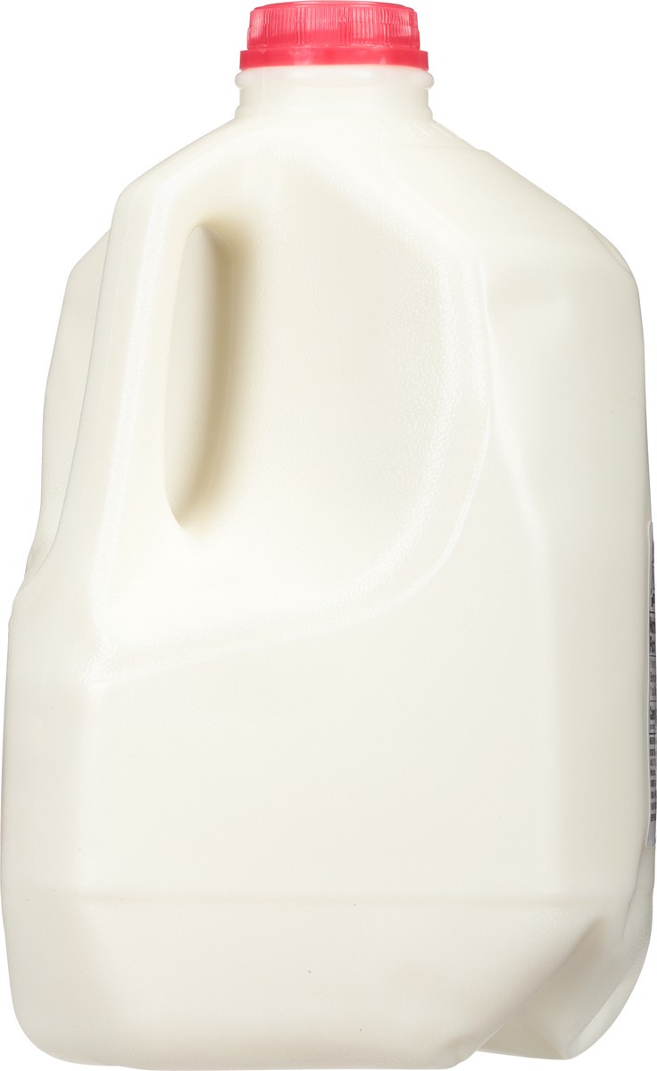 slide 2 of 9, Jilbert Whole Vitamin D Milk 1 gl, 1 gal