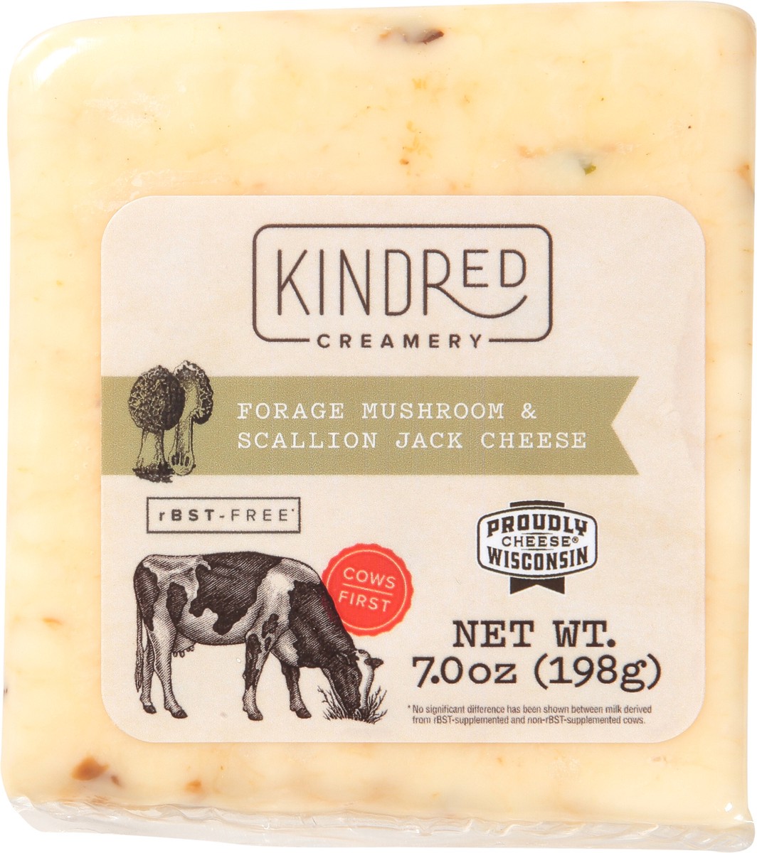 slide 10 of 12, Kindred Creamery Jack Forage Mushroom & Scallion Cheese 7.0 oz, 7 oz