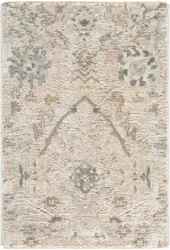 Plateau Taupe 24" x 35" Accent Rug