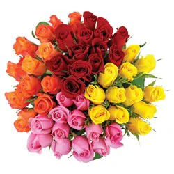Raley's Dozen Assorted Red Roses