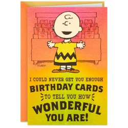 Hallmark Funny Birthday Card With Mini Cards (Peanuts Charlie Brown How Wonderful) E59