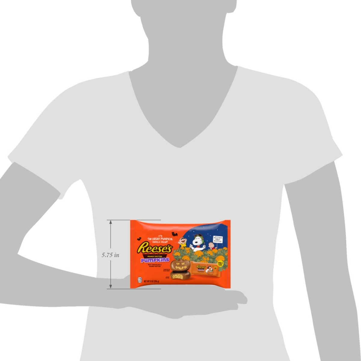 slide 6 of 9, REESE'S Snoopy™ & Friends Milk Chocolate Snack Size Peanut Butter Pumpkins, Halloween Candy Bag, 9 oz, 9 oz