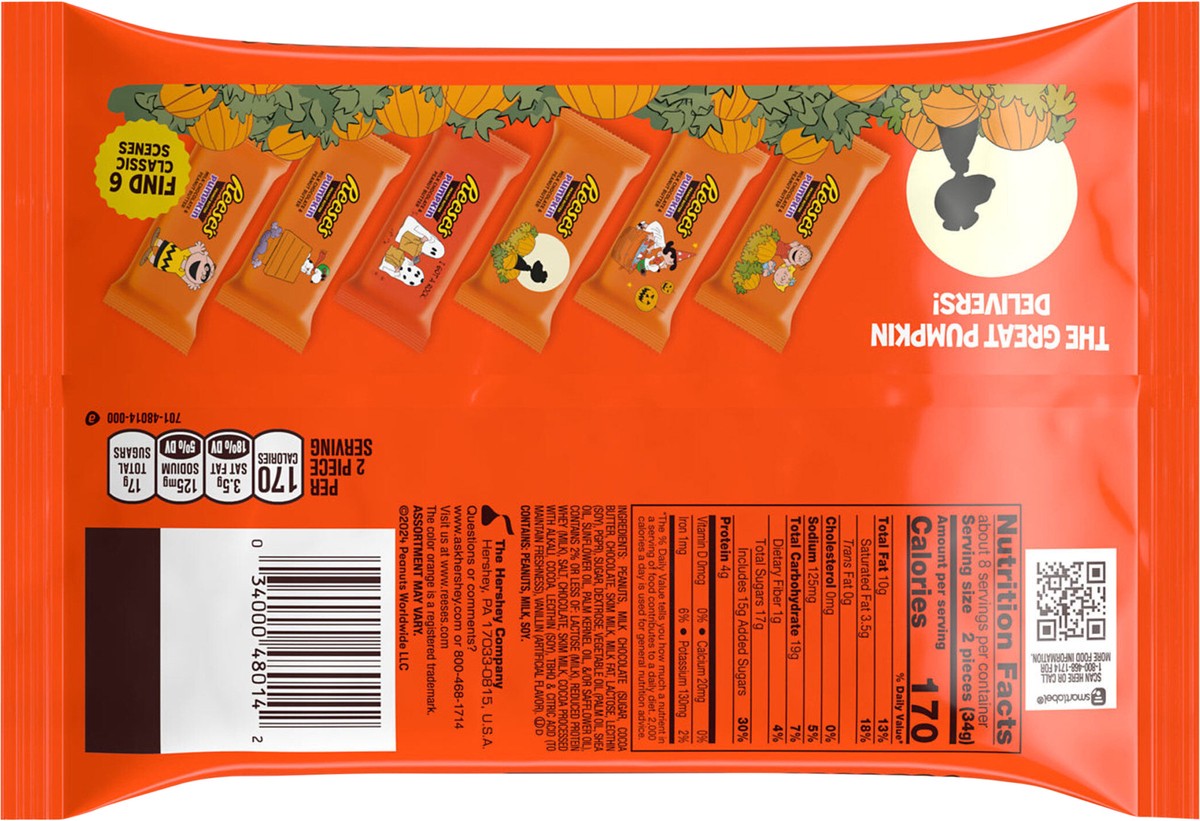 slide 7 of 9, REESE'S Snoopy™ & Friends Milk Chocolate Snack Size Peanut Butter Pumpkins, Halloween Candy Bag, 9 oz, 9 oz