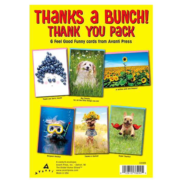 slide 1 of 1, Avanti Press Card Packs, 6 ct