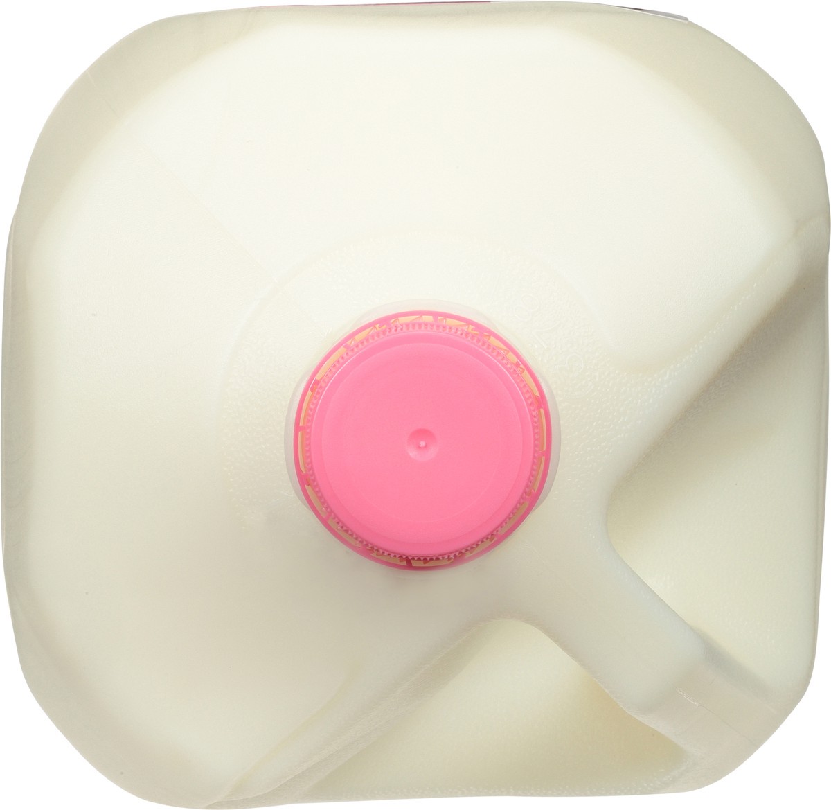 slide 2 of 13, Jilbert Fat Free Milk 1 gl, 1 gal