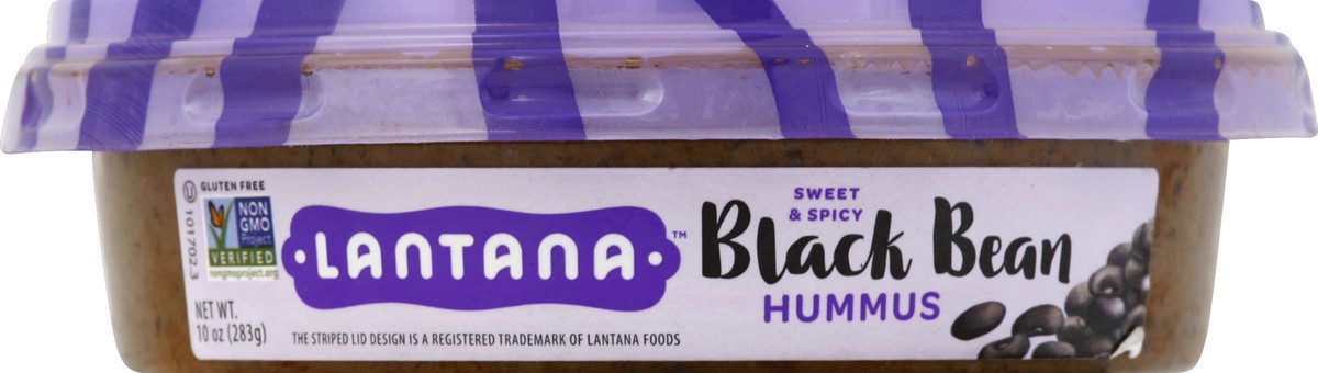slide 7 of 7, Lantana Black Bean Hummus, 