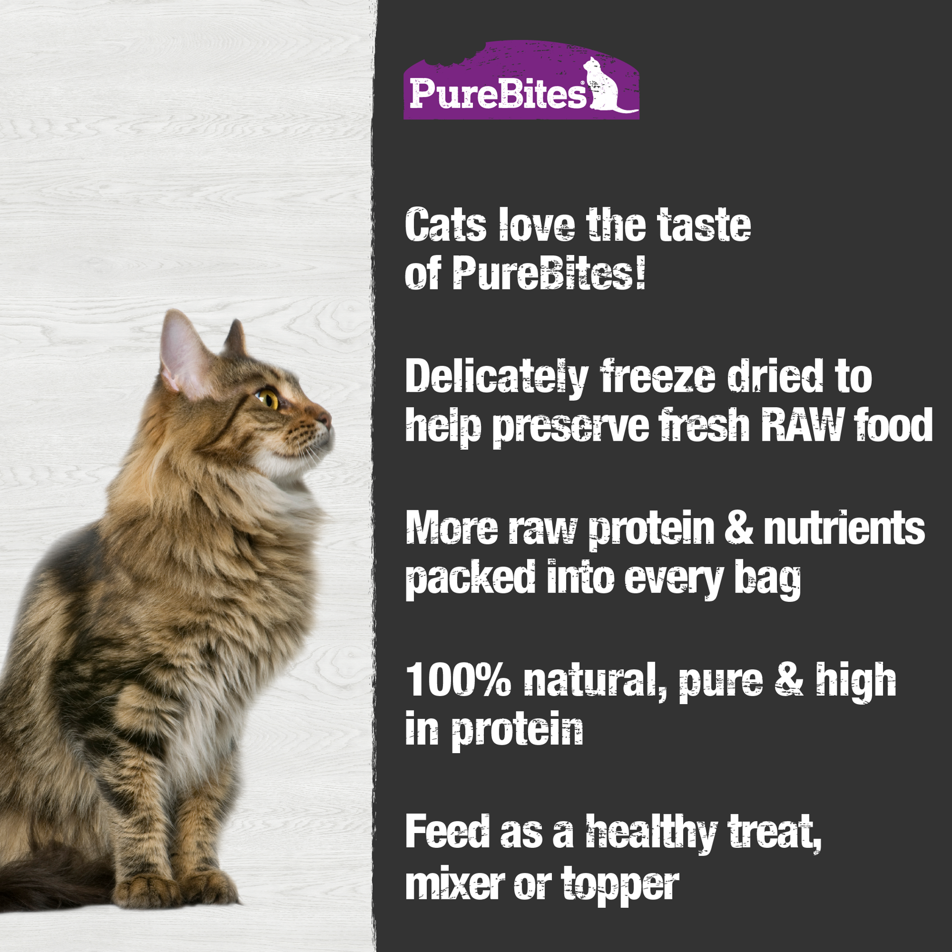 slide 2 of 5, PureBites Freeze Dried Ocean Whitefish Cat Treats 20g | 1 Ingredient | Made in USA, 20 g