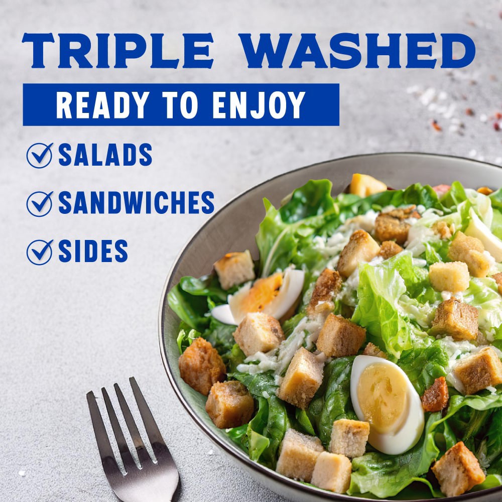 slide 2 of 3, Kroger Leafy Romaine Salad, 10 oz