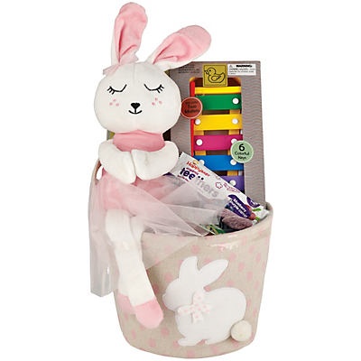 slide 1 of 1, Wonder Treats Girls Plush Bunny Easter Gift Bucket with Toy, 1 ct