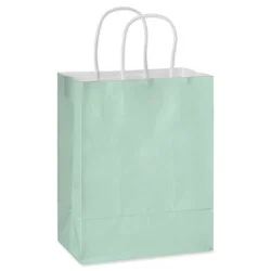 American Greetings Medium Mint Gift Bag for All Occasions