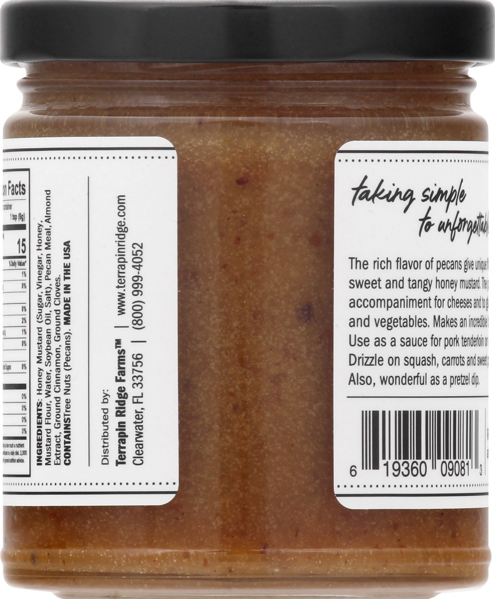 slide 4 of 9, Terrapin Ridge Terrapin Ridge Pecan Honey Mustard, 10.5 oz