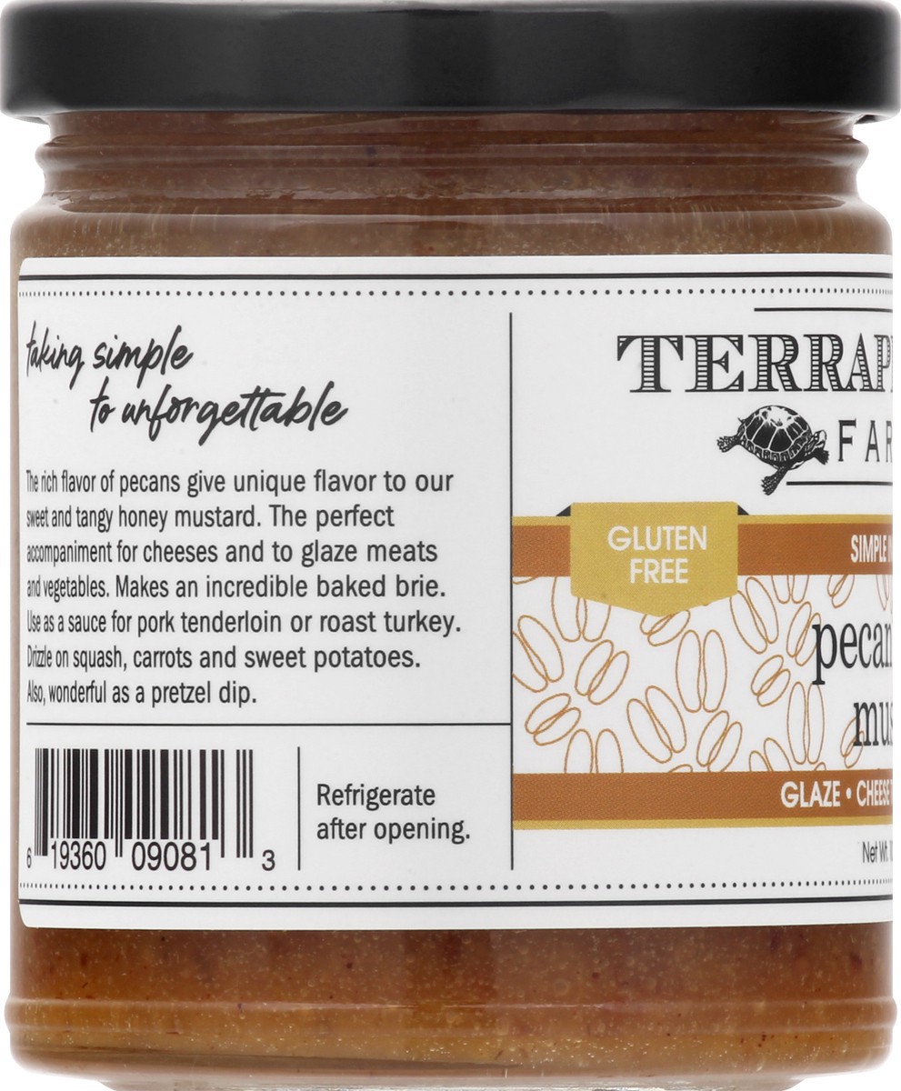 slide 7 of 9, Terrapin Ridge Terrapin Ridge Pecan Honey Mustard, 10.5 oz
