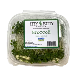 Itty Bitty Micro Farm Broccoli Microgreens