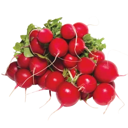 Red Radishes - 1 bunch