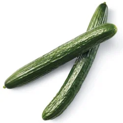 Fresh Seedless Cucumber