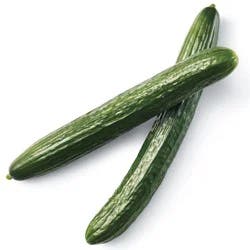 Fresh Seedless Cucumber
