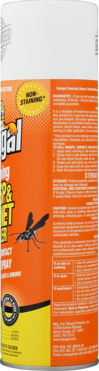 slide 4 of 9, Bengal Foaming Wasp & Hornet Killer Spray, 18 oz