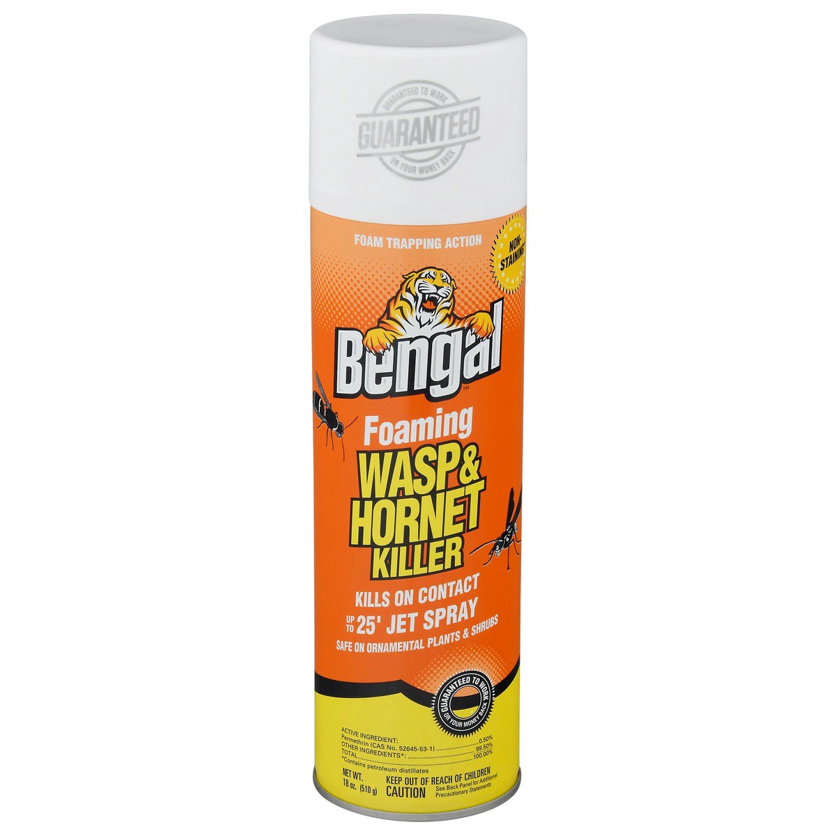 slide 1 of 9, Bengal Foaming Wasp & Hornet Killer Spray, 18 oz