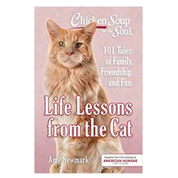 Chicken Soup for the Soul: Life Lessons From the Cat By Amy Newmark