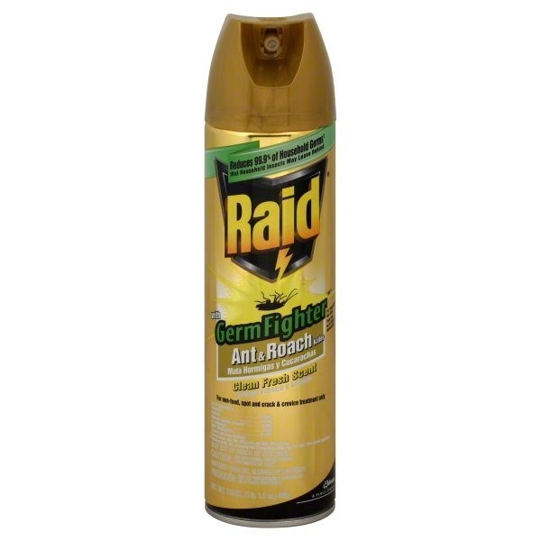 slide 1 of 1, Raid Ant & Roach Killer with GermFighter, Clean Fresh Scent, 17.5 oz