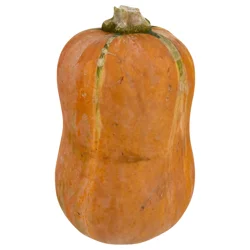 Honeynut Squash