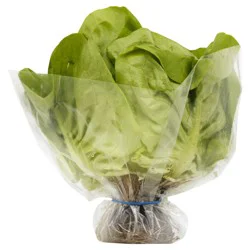 Pete's Living Petes Living Greens Butter Lettuce - Each