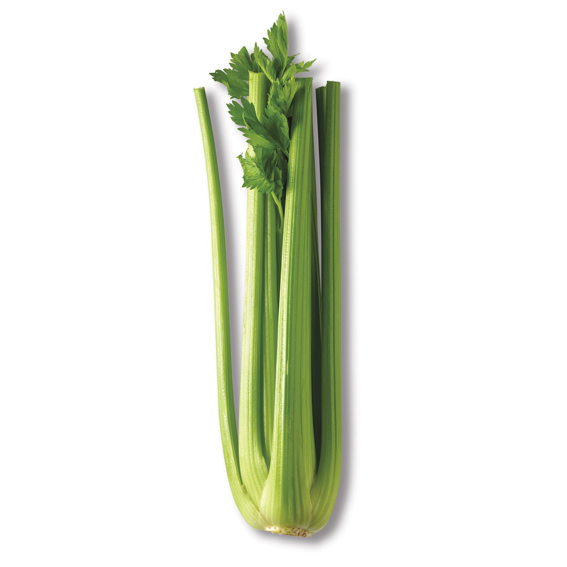 slide 1 of 1, Fresh Celery Stalk, 1 ct
