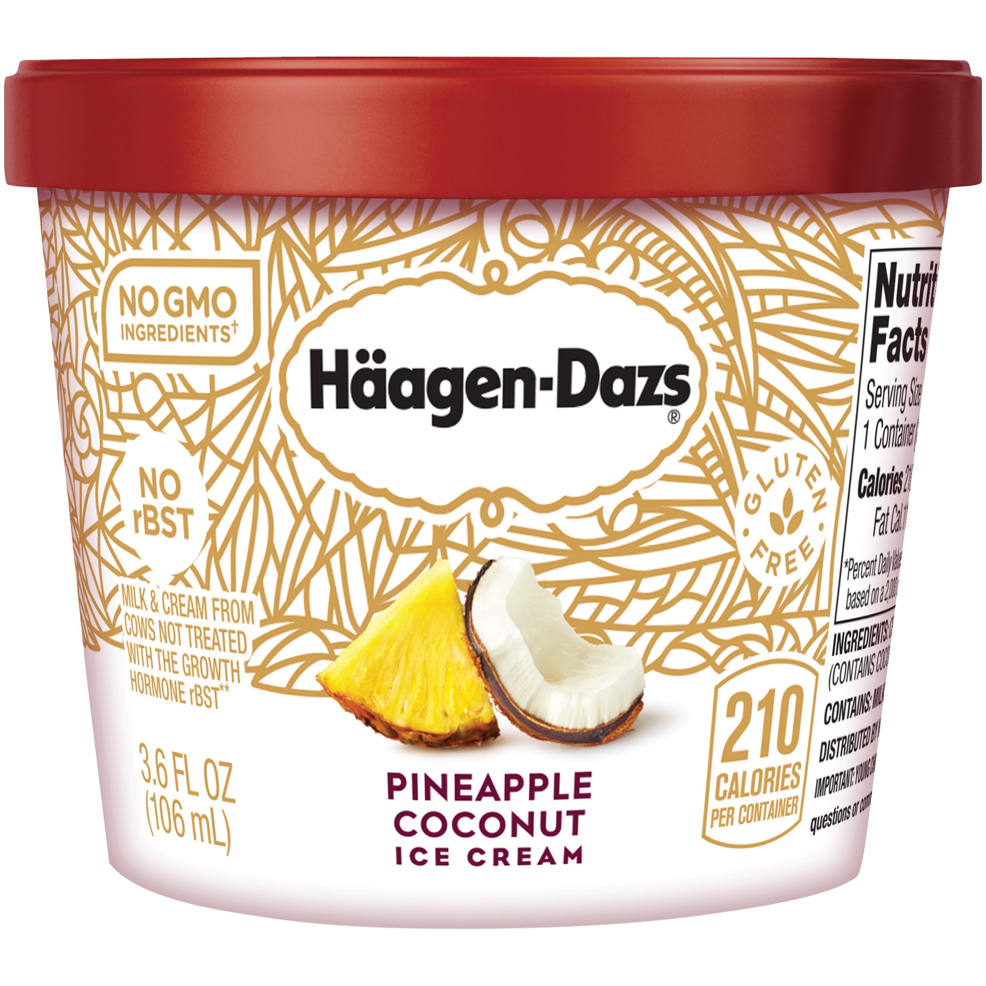 slide 1 of 1, Häagen-Dazs Pineapple Coconut Ice Cream, 3.6 oz