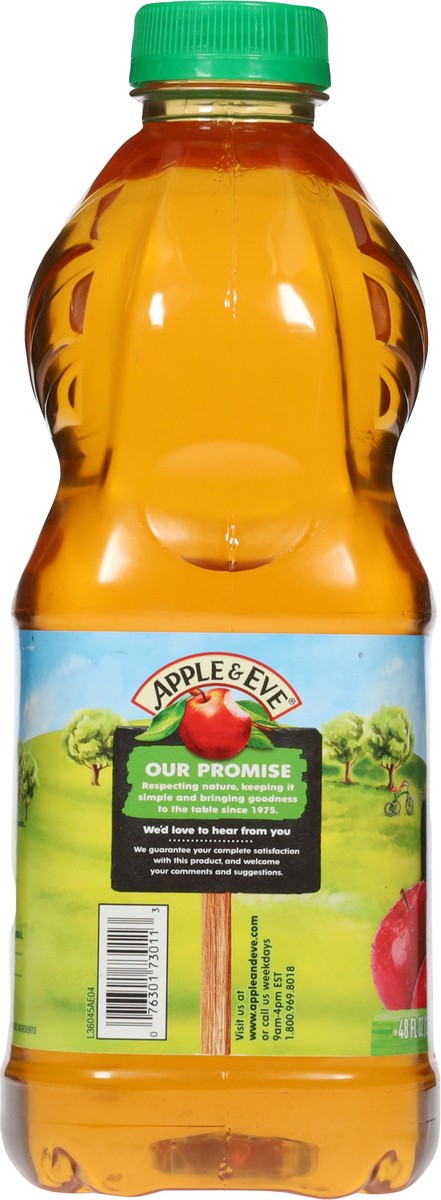 slide 9 of 13, Apple & Eve 100% Juice Apple Juice - 48 fl oz, 48 fl oz