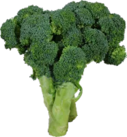 Andy Boy Sweet Baby Broccoli