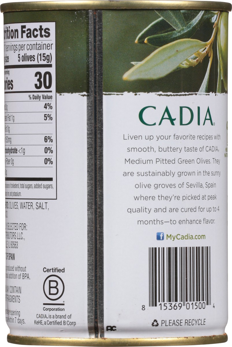 slide 2 of 12, Cadia Medium Pitted Spanish Green Olives 14 oz, 14 oz