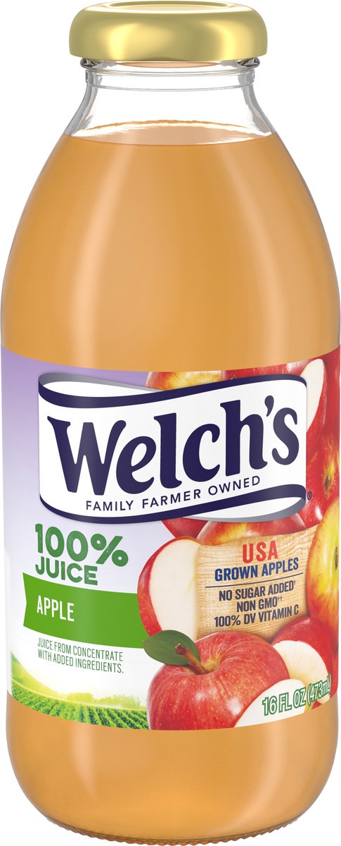 slide 2 of 5, Welch's 100% Apple Juice, 16 fl oz On-the-Go Bottle, 16 fl oz