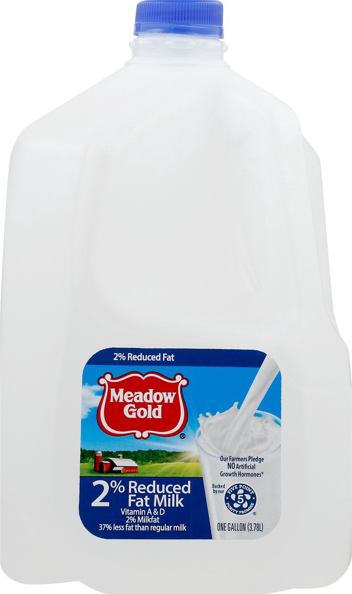 slide 4 of 10, Meadow Gold 2% Milk - 1gal, 1 gal