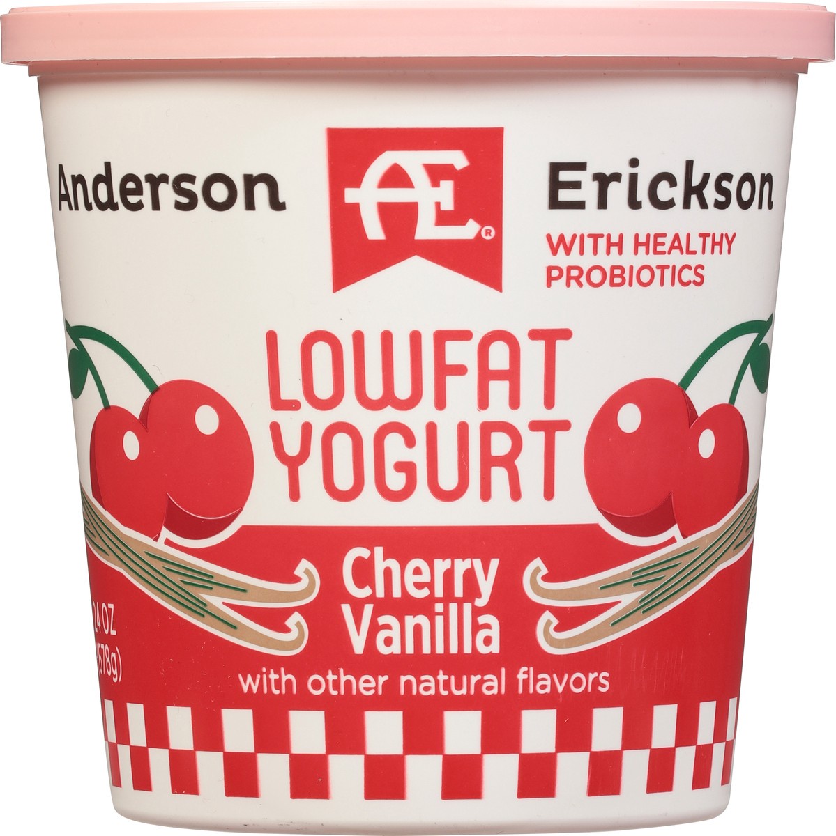 slide 7 of 9, Anderson Erickson Dairy Lowfat Cherry Vanilla Yogurt - 24 oz, 24 oz