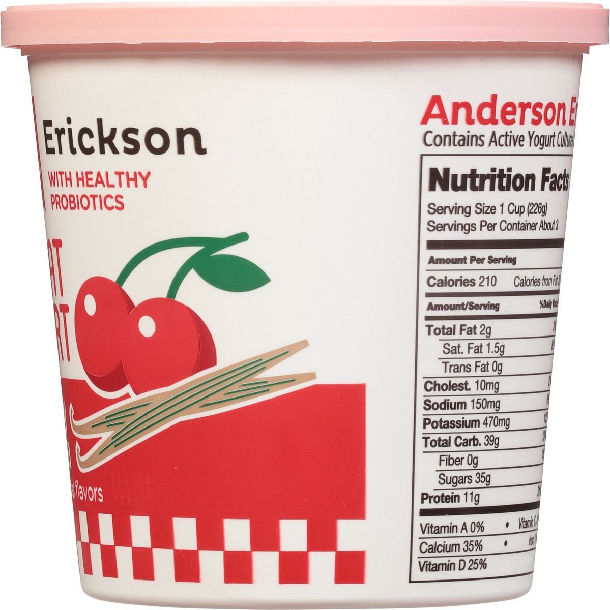 slide 6 of 9, Anderson Erickson Dairy Lowfat Cherry Vanilla Yogurt - 24 oz, 24 oz