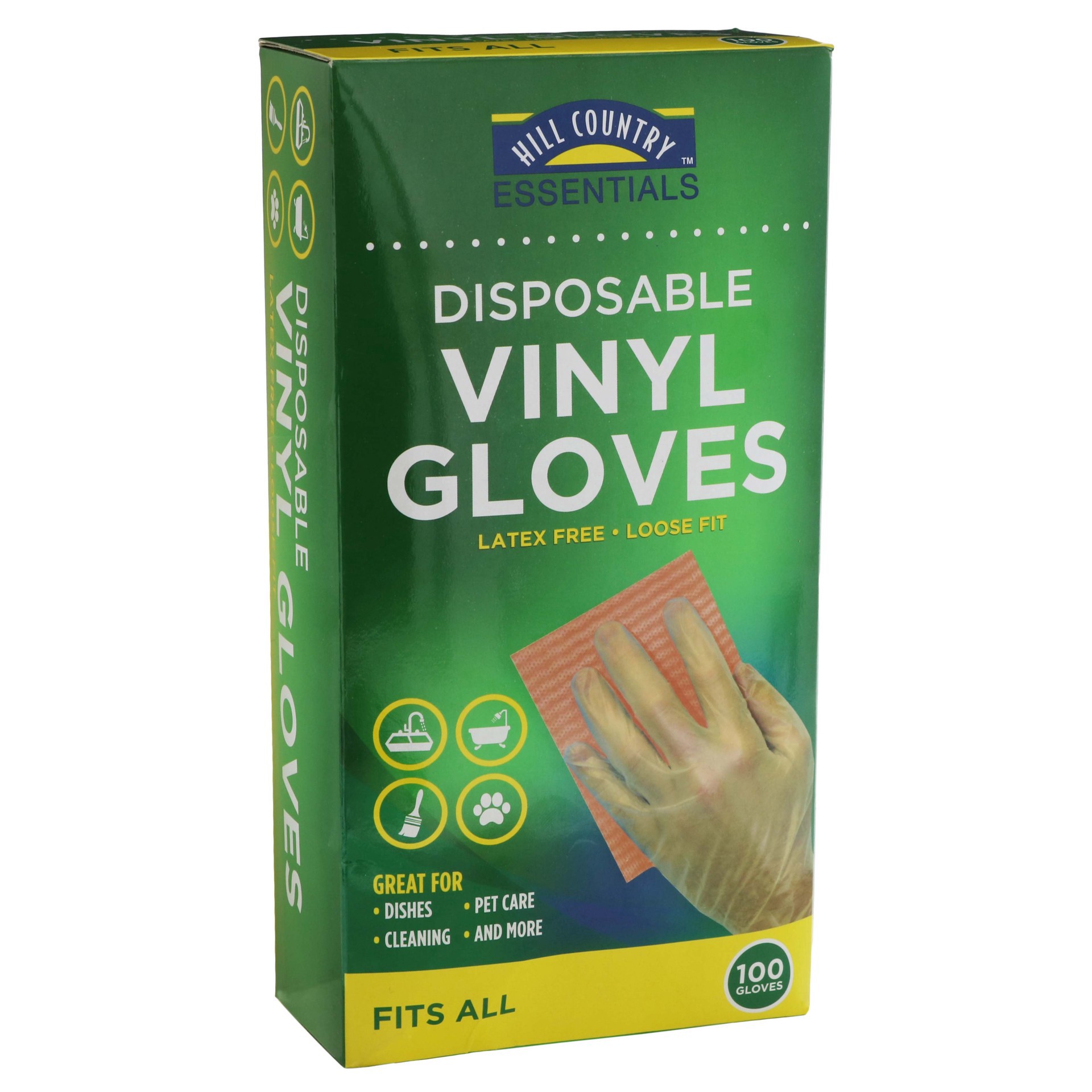 slide 1 of 1, Hill Country Fare Disposable Vinyl Gloves, 100 ct