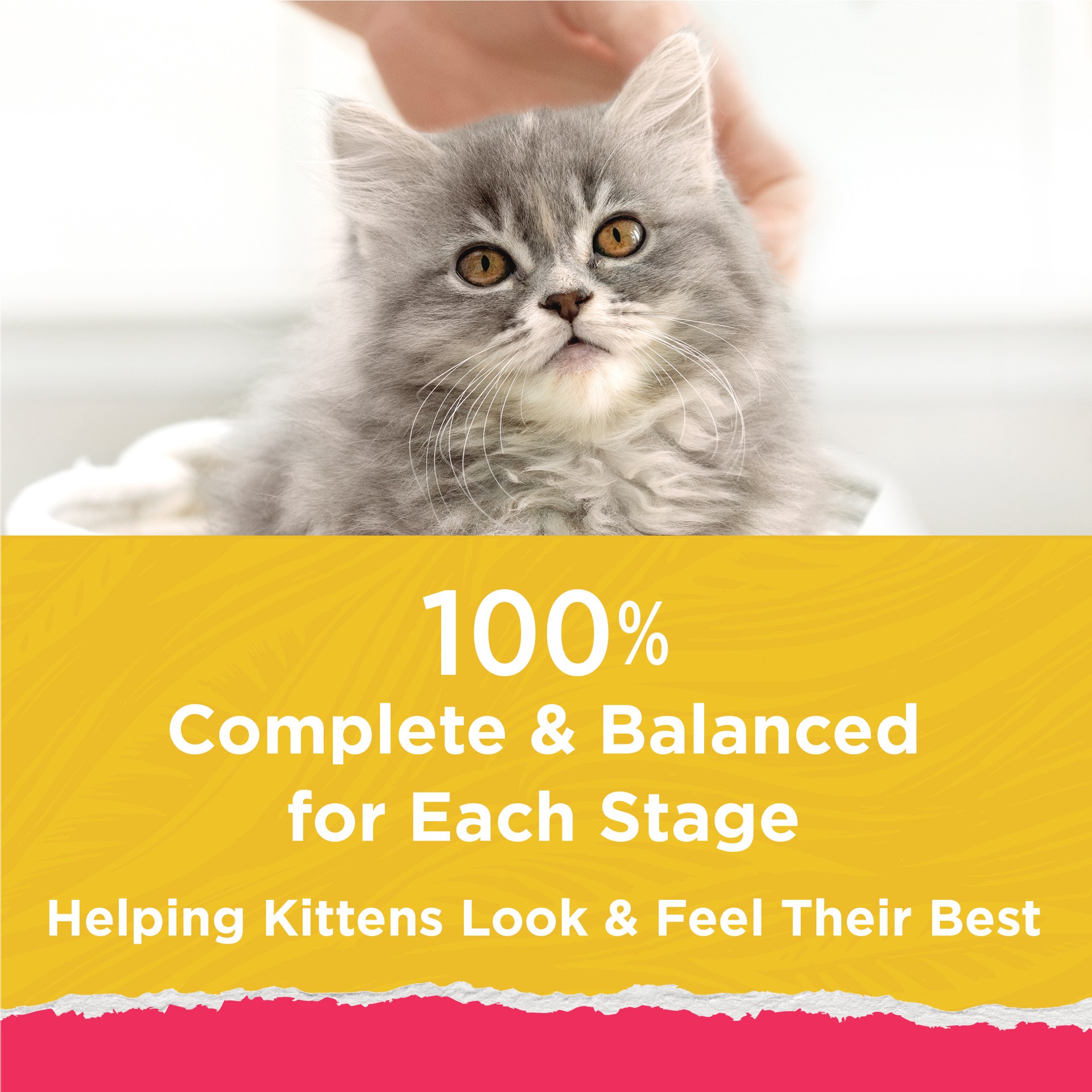 slide 2 of 9, Kitten Chow Purina Kitten Chow High Protein Cat Food Naturals With Added Vitamins, Minerals and Nutrients, 13 lb