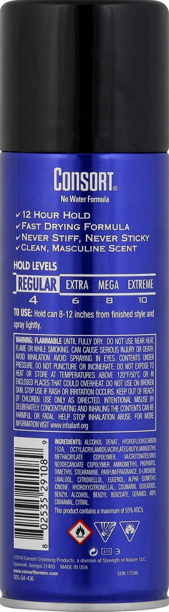 slide 2 of 4, Consort for Men Regular Hold Hair Spray, 8.3 oz