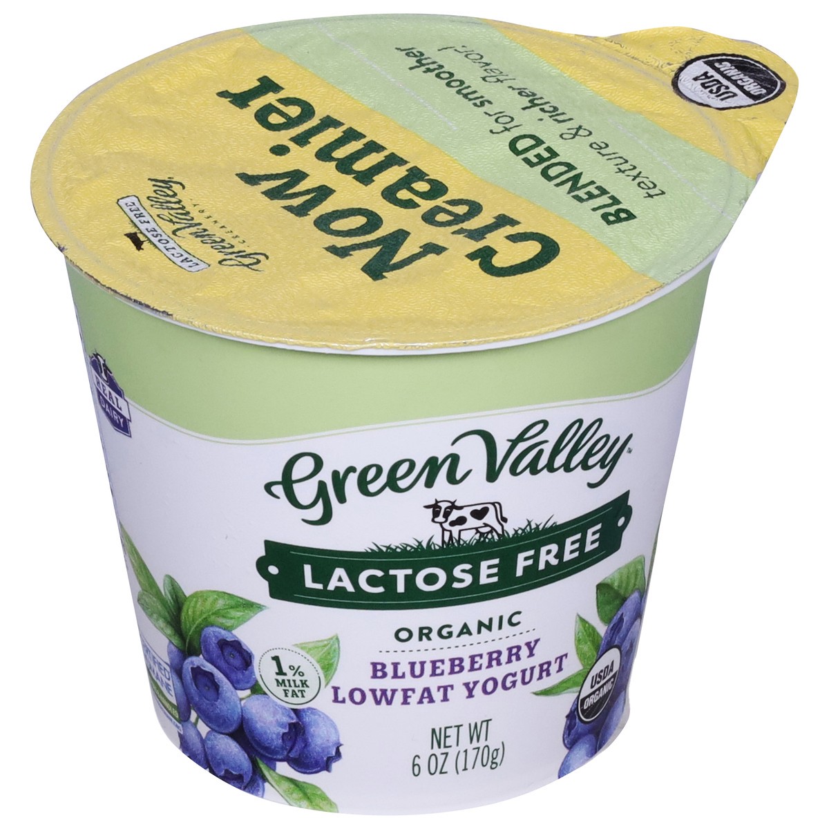 slide 9 of 9, Green Valley Organics Green Valley Blueberry Lactose Free Yogurt, 6 oz